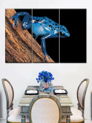 “Poison Arrow Frog Printed Framed Wall Art”